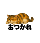 ふてぶて猫うに – 毎日つかえるスタンプ（個別スタンプ：3）