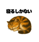ふてぶて猫うに – 毎日つかえるスタンプ（個別スタンプ：38）