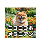 毎日使える！表情豊かなポメラニアン（個別スタンプ：1）