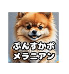 毎日使える！表情豊かなポメラニアン（個別スタンプ：2）
