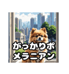 毎日使える！表情豊かなポメラニアン（個別スタンプ：6）