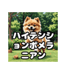 毎日使える！表情豊かなポメラニアン（個別スタンプ：10）