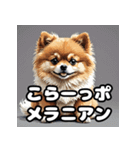 毎日使える！表情豊かなポメラニアン（個別スタンプ：14）