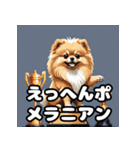 毎日使える！表情豊かなポメラニアン（個別スタンプ：27）