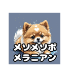 毎日使える！表情豊かなポメラニアン（個別スタンプ：29）