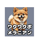 毎日使える！表情豊かなポメラニアン（個別スタンプ：30）