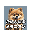 毎日使える！表情豊かなポメラニアン（個別スタンプ：34）