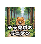 毎日使える！表情豊かなポメラニアン（個別スタンプ：37）