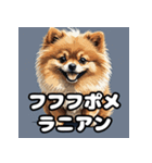 毎日使える！表情豊かなポメラニアン（個別スタンプ：39）