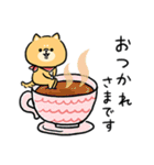 無難すぎて使えすぎる柴犬の毎日(更新)（個別スタンプ：2）