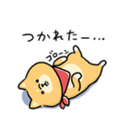 無難すぎて使えすぎる柴犬の毎日(更新)（個別スタンプ：3）