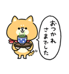 無難すぎて使えすぎる柴犬の毎日(更新)（個別スタンプ：4）