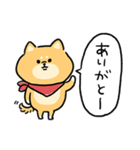 無難すぎて使えすぎる柴犬の毎日(更新)（個別スタンプ：5）