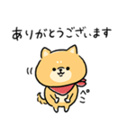 無難すぎて使えすぎる柴犬の毎日(更新)（個別スタンプ：6）