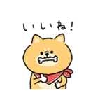 無難すぎて使えすぎる柴犬の毎日(更新)（個別スタンプ：7）