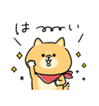 無難すぎて使えすぎる柴犬の毎日(更新)（個別スタンプ：10）