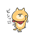 無難すぎて使えすぎる柴犬の毎日(更新)（個別スタンプ：14）