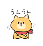 無難すぎて使えすぎる柴犬の毎日(更新)（個別スタンプ：15）