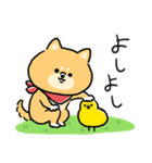 無難すぎて使えすぎる柴犬の毎日(更新)（個別スタンプ：16）