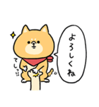 無難すぎて使えすぎる柴犬の毎日(更新)（個別スタンプ：17）