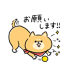 無難すぎて使えすぎる柴犬の毎日(更新)（個別スタンプ：18）