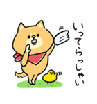 無難すぎて使えすぎる柴犬の毎日(更新)（個別スタンプ：19）