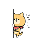 無難すぎて使えすぎる柴犬の毎日(更新)（個別スタンプ：21）
