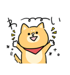 無難すぎて使えすぎる柴犬の毎日(更新)（個別スタンプ：24）