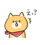 無難すぎて使えすぎる柴犬の毎日(更新)（個別スタンプ：25）