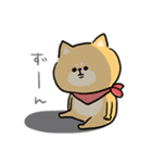 無難すぎて使えすぎる柴犬の毎日(更新)（個別スタンプ：28）