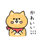 無難すぎて使えすぎる柴犬の毎日(更新)（個別スタンプ：29）