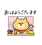 無難すぎて使えすぎる柴犬の毎日(更新)（個別スタンプ：33）