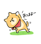 無難すぎて使えすぎる柴犬の毎日(更新)（個別スタンプ：34）