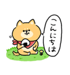 無難すぎて使えすぎる柴犬の毎日(更新)（個別スタンプ：35）