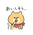 無難すぎて使えすぎる柴犬の毎日(更新)（個別スタンプ：38）
