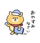 無難すぎて使えすぎる柴犬の毎日(更新)（個別スタンプ：40）