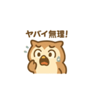 "フクロウ"の一日（個別スタンプ：17）