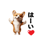 踊る！コーギー！（個別スタンプ：3）