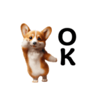 踊る！コーギー！（個別スタンプ：5）