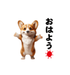 踊る！コーギー！（個別スタンプ：6）