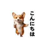 踊る！コーギー！（個別スタンプ：7）