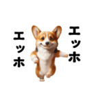 踊る！コーギー！（個別スタンプ：10）