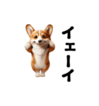 踊る！コーギー！（個別スタンプ：11）