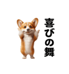 踊る！コーギー！（個別スタンプ：13）