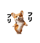踊る！コーギー！（個別スタンプ：16）