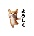 踊る！コーギー！（個別スタンプ：18）