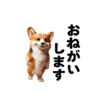 踊る！コーギー！（個別スタンプ：19）