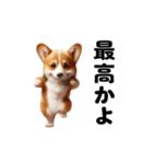 踊る！コーギー！（個別スタンプ：21）