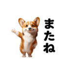 踊る！コーギー！（個別スタンプ：24）