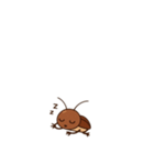 小さなゴキブリ。。。（個別スタンプ：16）
